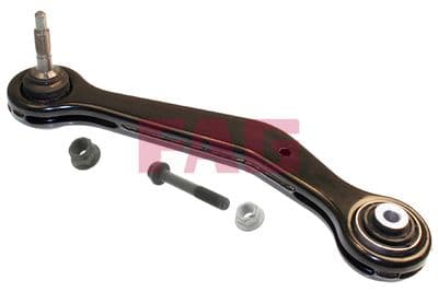 Brazo oscilante, suspensión de ruedas Schaeffler FAG 821 0172 10