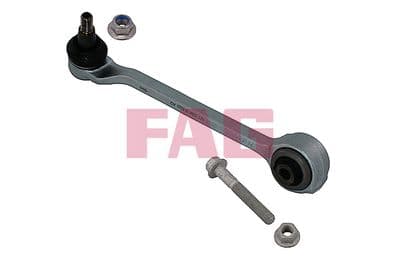 Brazo oscilante, suspensión de ruedas Schaeffler FAG 821 1054 10