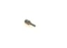 Vista 29