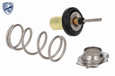 Termostato, refrigerante ACKOJA A70-99-0034
