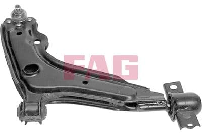 Brazo oscilante, suspensión de ruedas Schaeffler FAG 821 0065 10
