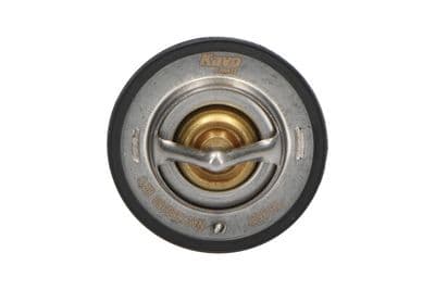 Termostato, refrigerante Kavo Parts TH-3501