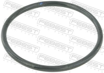 Empaque, Cuerpo de mariposa FEBEST RINGAH-010