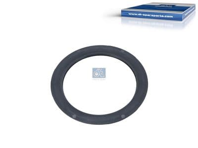 Chapa cubierta, prot. contra polvo del rodamiento de rueda DT Spare Parts 10.13434