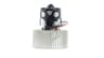 Vista 22