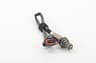 Vista 18