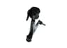 Vista 10