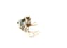 Vista 24