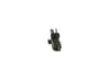 Vista 19