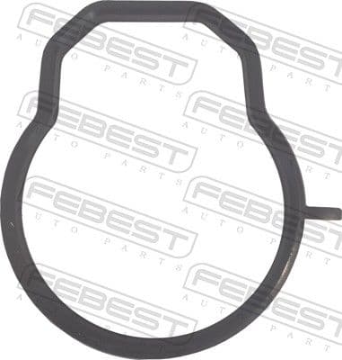 Empaque, Cuerpo de mariposa FEBEST 22402-001
