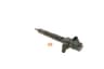 Vista 19