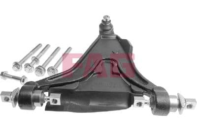 Brazo oscilante, suspensión de ruedas Schaeffler FAG 821 0450 10