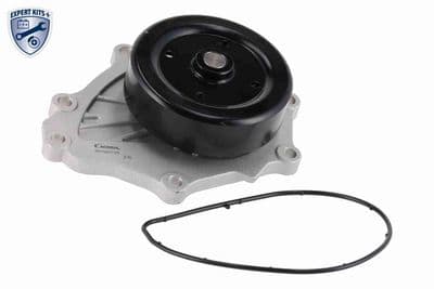 Bomba de agua, refrigeración del motor ACKOJA A70-50023