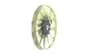Vista 62