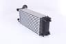 Vista 24