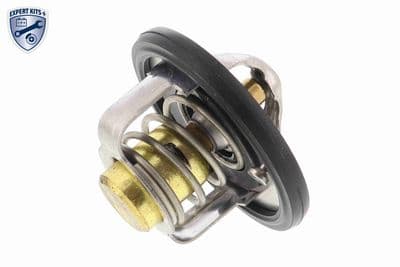 Termostato, refrigerante ACKOJA A64-99-0002