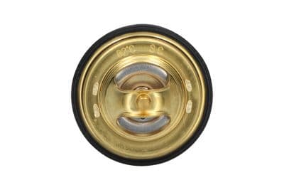 Termostato, refrigerante Kavo Parts TH-9008