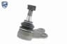 Vista 6