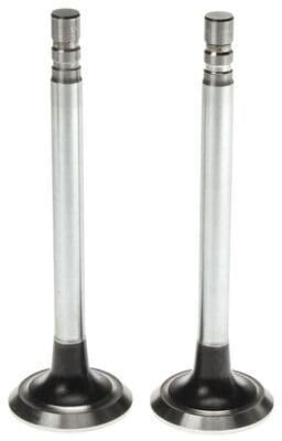 Válvula de escape MAHLE 211-2181