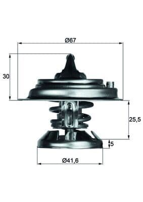 Termostato, refrigerante MAHLE TX 29 71D