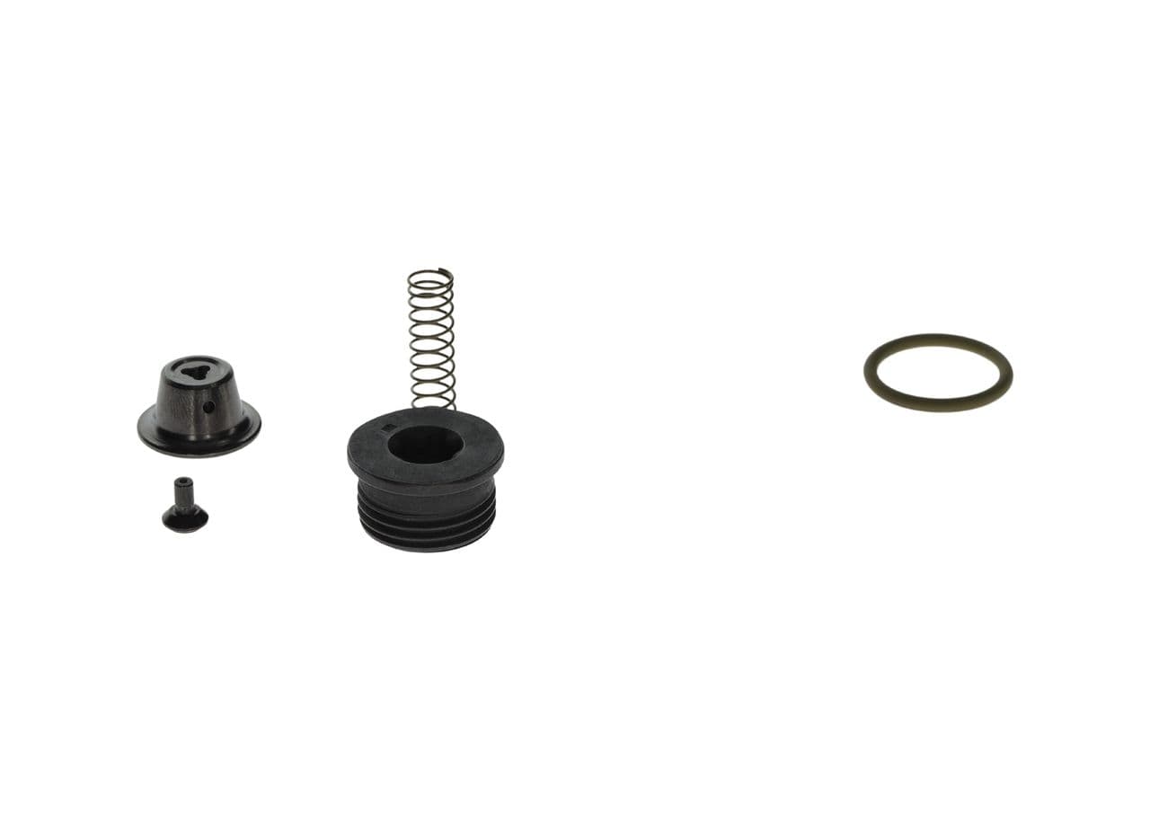 Juego de reparación, Sistema Common Rail BOSCH F 00N 203 059