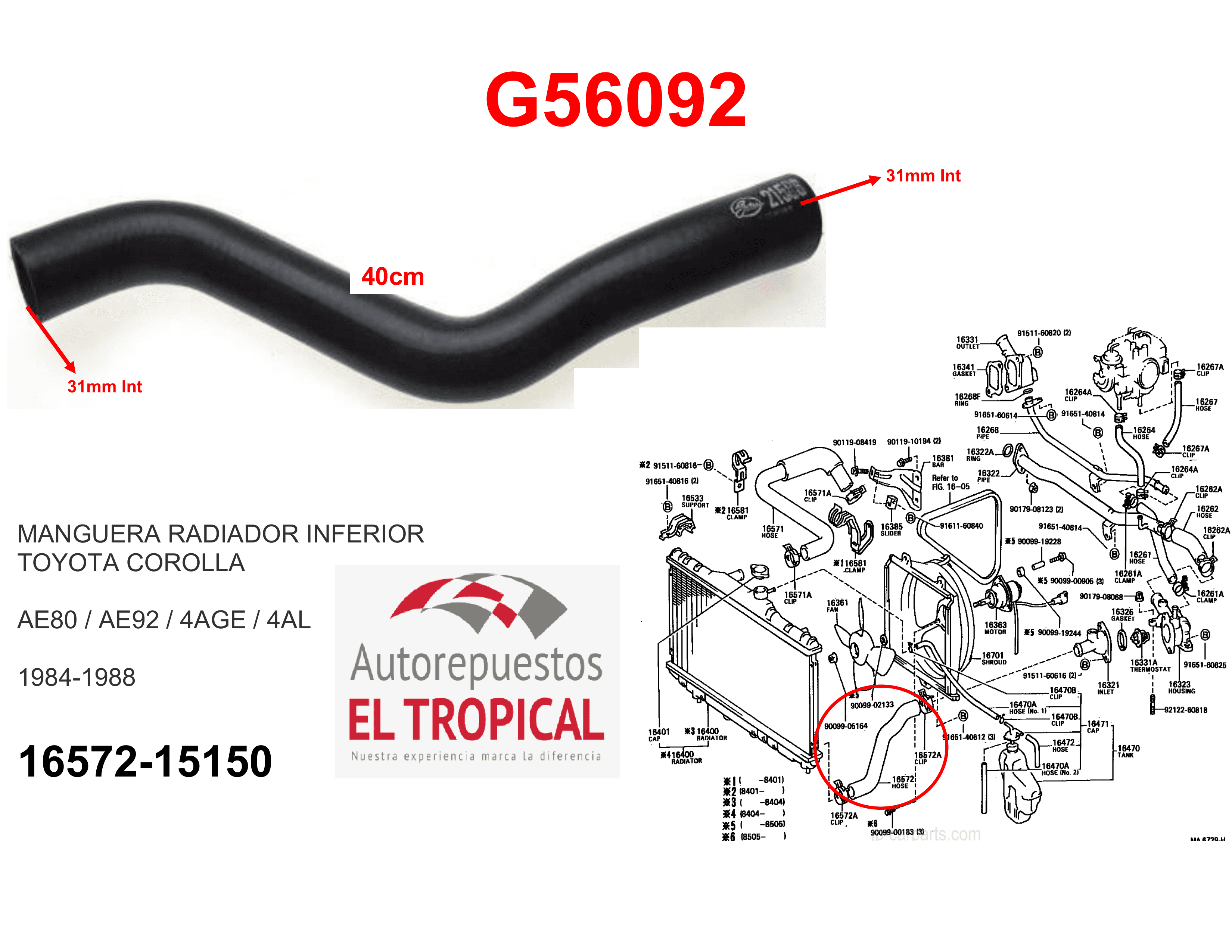 https://imagenes-inventario-quinpart.s3.us-east-1.amazonaws.com/productos/32116/1769760359563-G56092.png