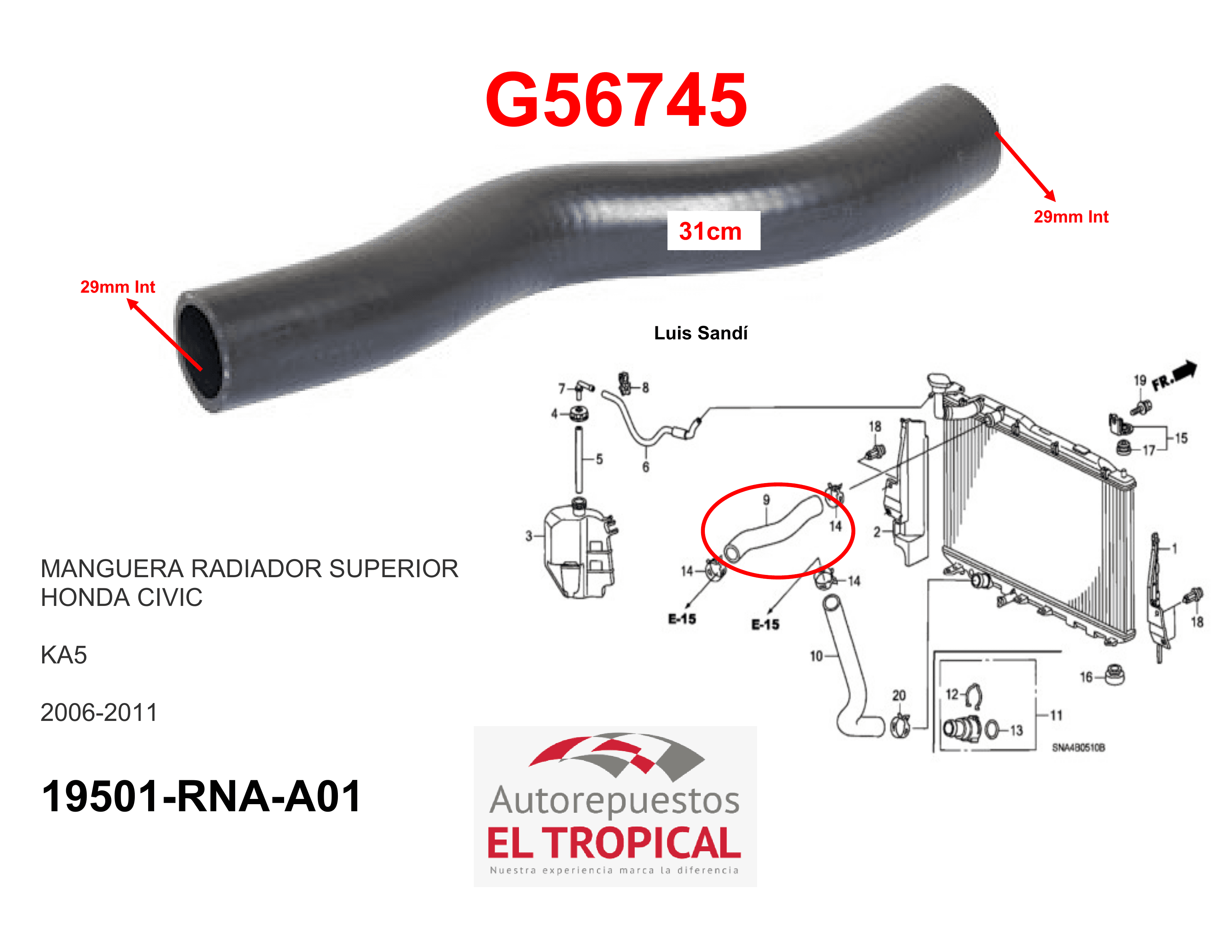 Manguera radiador superior CIVIC 06-
