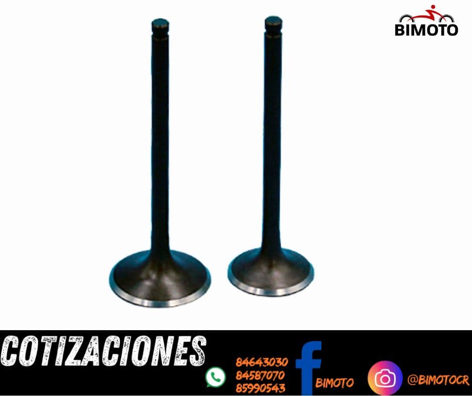 https://imagenes-inventario-quinpart.s3.us-east-1.amazonaws.com/productos/5806/faea20ae-b14f-459a-84d3-e94694a25d05.jpg