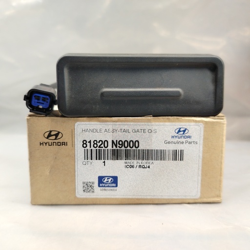 [81820-N9000] Manilla Puerta Trasera Hyundai