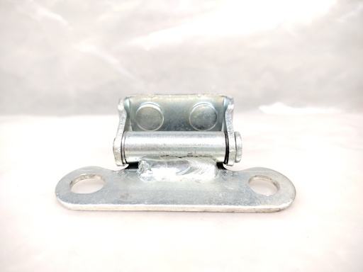 [68810-0K180] Bisagra Derecha de Compuerta Toyota